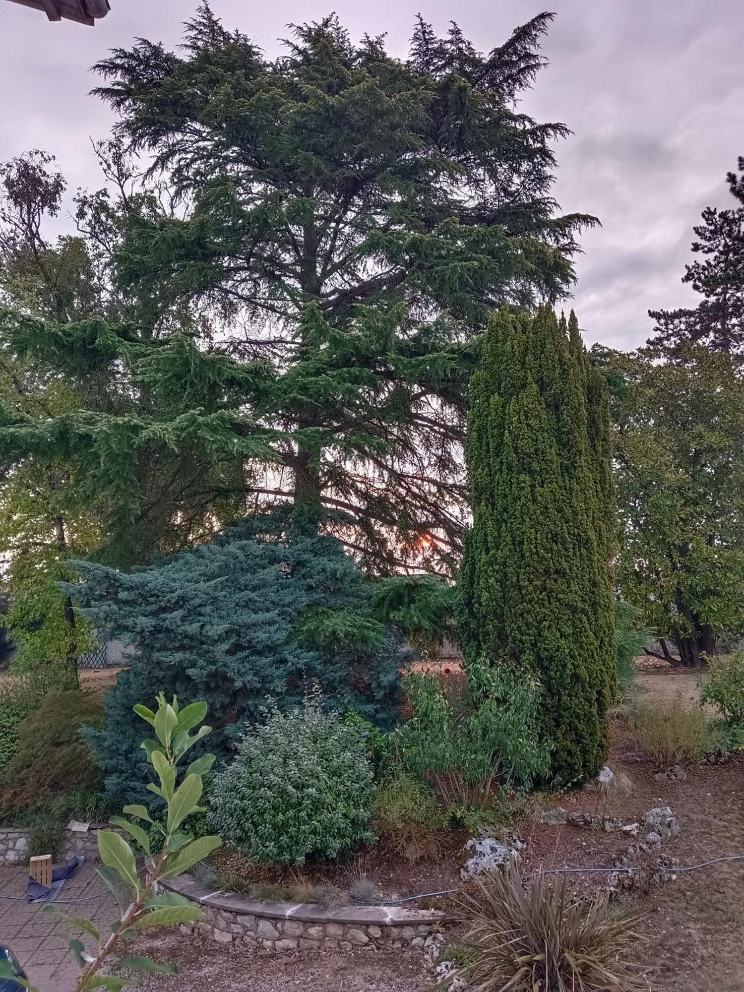 La Maison Basque Sainte-Livrade-sur-Lot Buitenkant foto